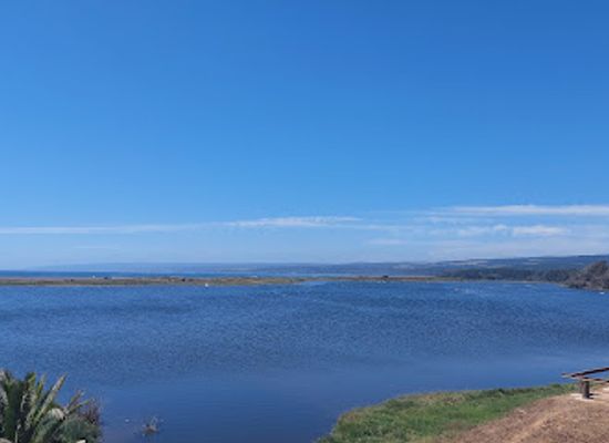 chile/pichilemu/attraction/mirador-humedal-petrel