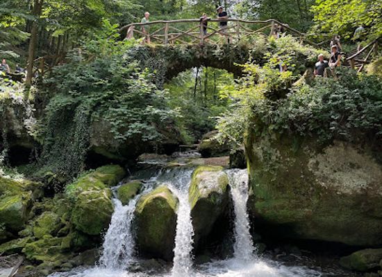 luxembourg/mullerthal/attraction/bench