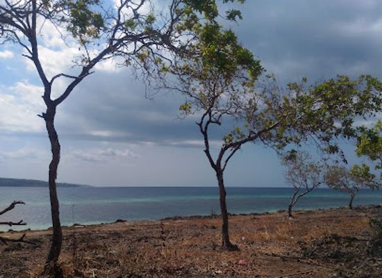 indonesia/east-nusa-tenggara/attraction/monkeys-cave-and-natural-park