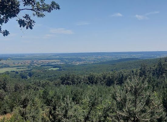 hungary/sopron-wine-region/attraction/roka-dombi-szep-kilatas