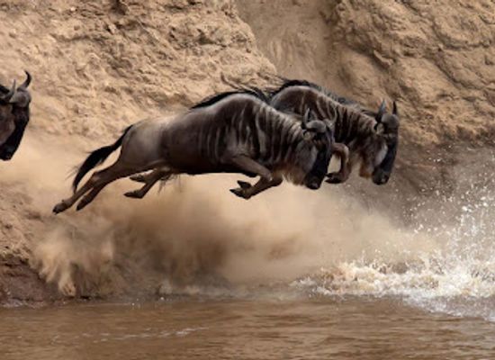 tanzania/arusha/attraction/african-heroes-tours