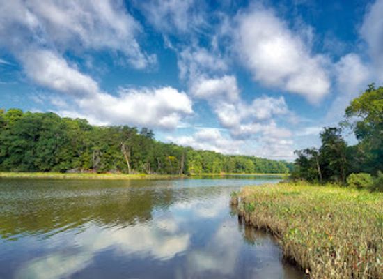 virginia/williamsburg/attraction/college-landing-park