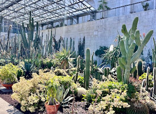 monaco/jardin-exotique/attraction/centre-botanique-du-jardin-exotique