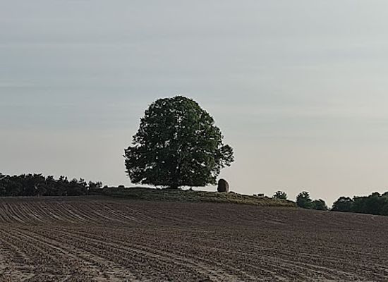 germany/mecklenburg/attraction/monolith
