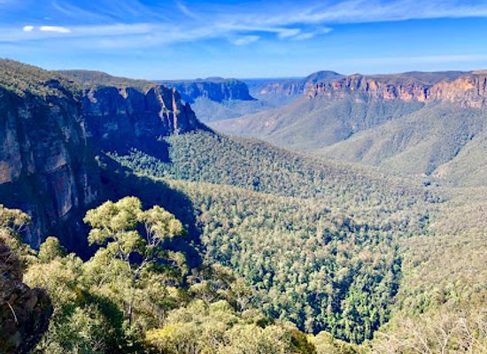australia/blue-mountains-national-park/attraction/cliff-top-walking-track