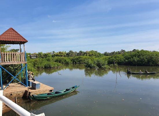 the-gambia/western-region/attraction/kotu-bridge