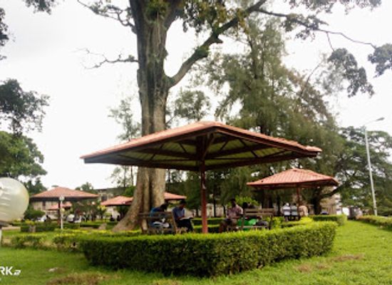 nigeria/south-west/attraction/gamaliel-onosode-park-ibadan