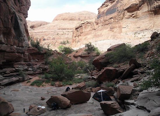 utah/canyonlands-national-park/attraction/petrified-dunes