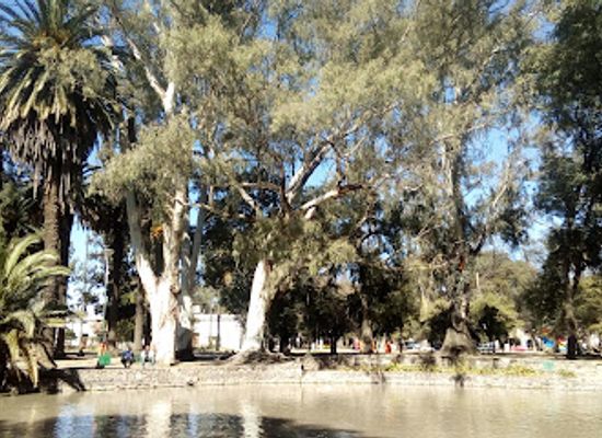 argentina/salta/attraction/national-university-of-salta-museum-of-natural-sciences