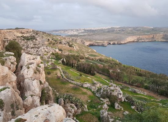 malta/malta-ridge/attraction/mediterraneo-marine-park