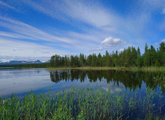 sweden/vemdalen/landmark/flatruetvagen-sveriges-hogsta-vagpunkt