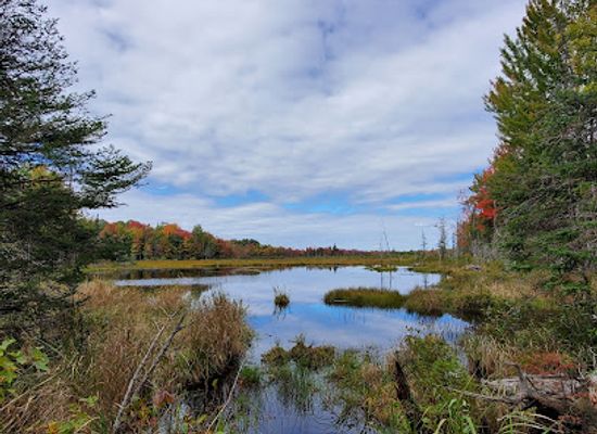 canada/haliburton-highlands/attraction/snowdon-park