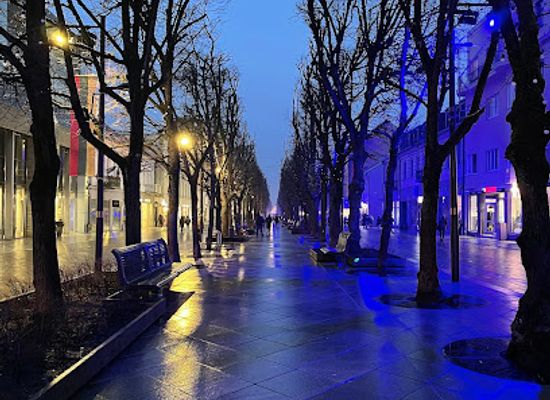 lithuania/kaunas-region/attraction/laisves-aleja