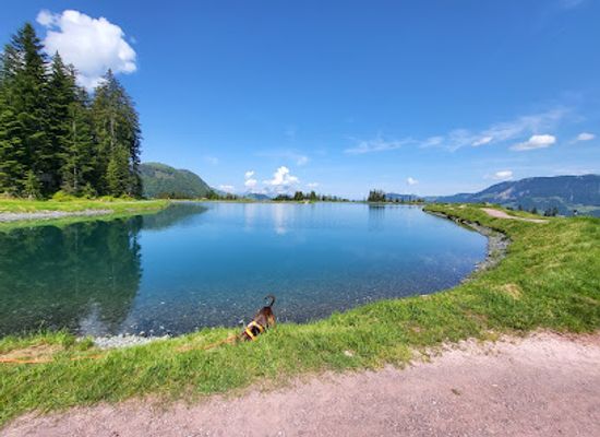 austria/pinzgau/attraction/timoks-wilde-welt-fieberbrunn