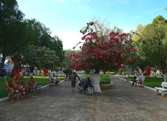 vietnam/nha-trang/attraction/studio-gallery-long-thanh-art