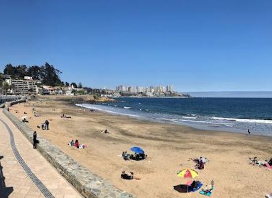 chile/valparaiso/attraction/playa-amarilla