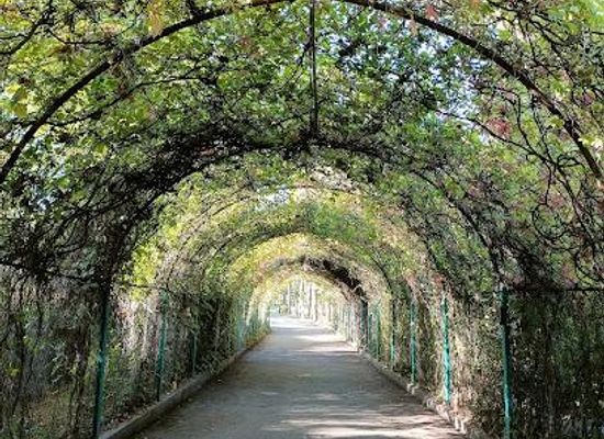 armenia/yerevan/attraction/yerevan-botanical-garden