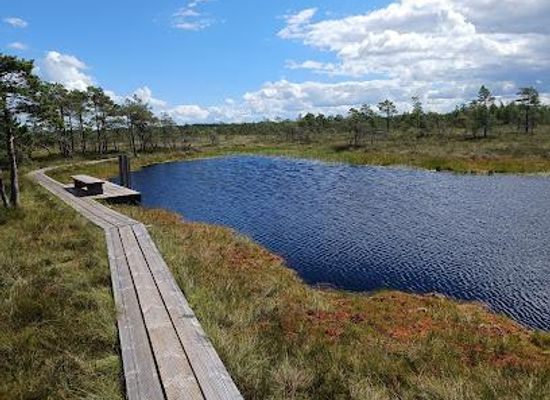 estonia/parnu-beach/attraction/riisa-nature-trail