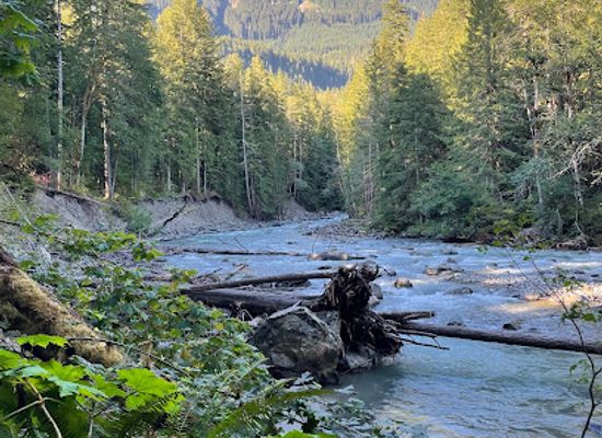 washington/mount-baker-snoqualmie-national-forest/attraction/horseshoe-bend-trail-head
