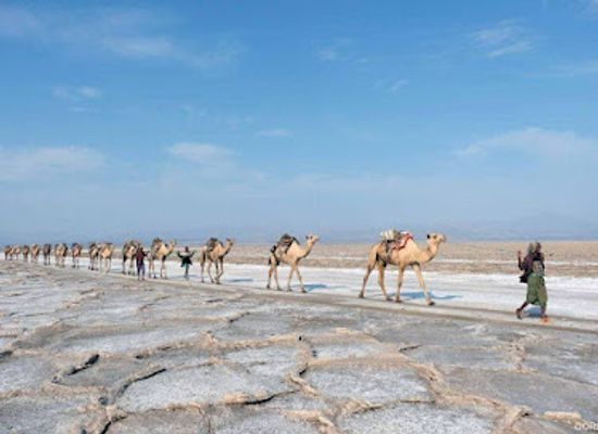 ethiopia/tigray-region/attraction/ethiopian-high-land-tours