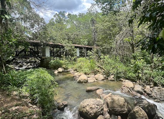 colombia/santanderes/attraction/el-gallineral-natural-park