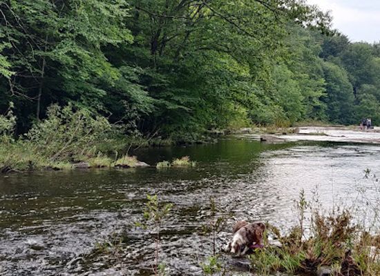 new-york/north-country/attraction/salmon-river-falls-unique-area