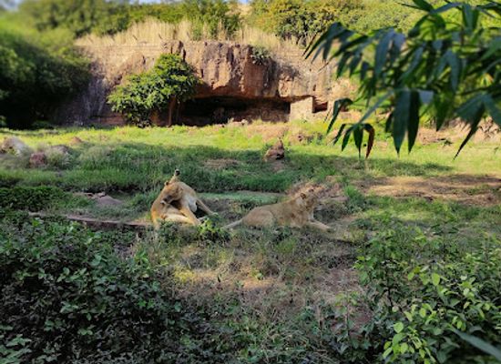 mali/bamako/attraction/mali-national-park