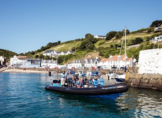 jersey/saint-mary/attraction/jersey-seafaris