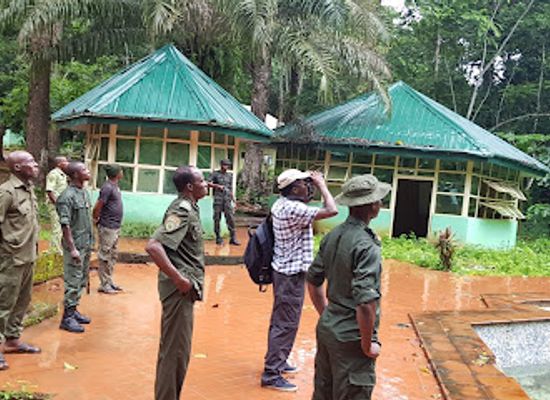 nigeria/efik/attraction/okomu-national-park