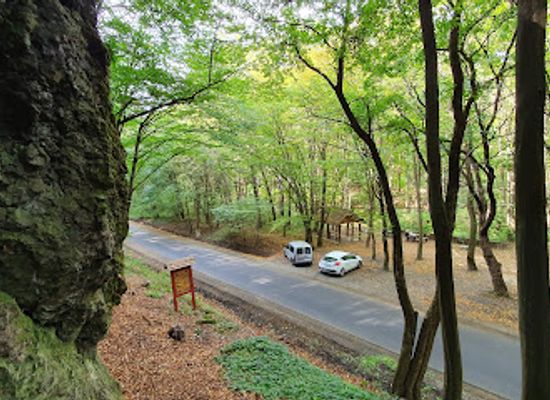 hungary/zemplen-mountains/attraction/adam-szakall-turista-piheno