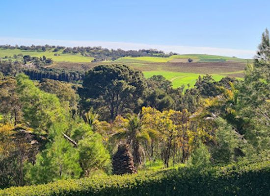 australia/barossa-valley/attraction/seppeltsfield-mausoleum