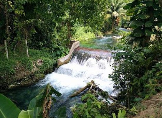 jamaica/savanna-la-mar/attraction/roaring-river-and-cave