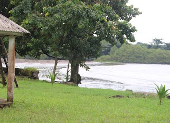cameroon/bimbia-beach/attraction/mile-4-wututu-park