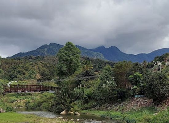 puerto-rico/puerto-rican-cordillera/attraction/plaza-nemesio-rosario-canales-rivera