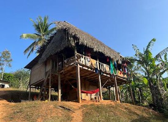 panama/colon/attraction/embera-drua-villiage