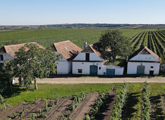 austria/weinviertel/attraction/kellergasse-maulavern