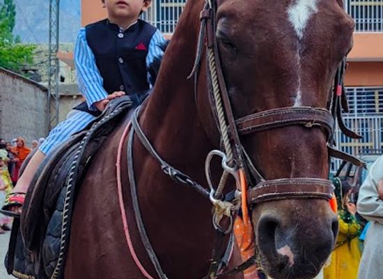pakistan/ladakh/attraction/horse-riding-skardu-tourist