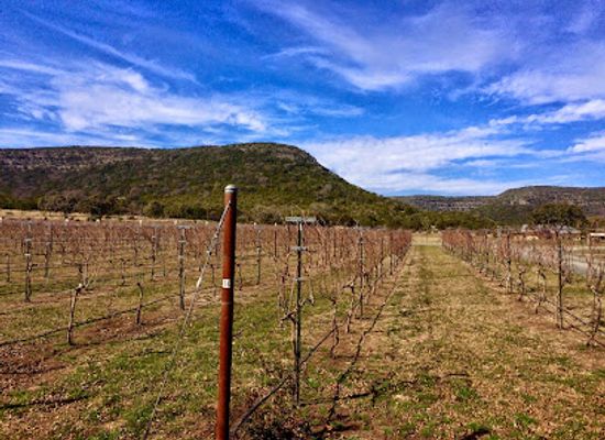 texas/lost-maples-state-natural-area/attraction/lost-maples-winery