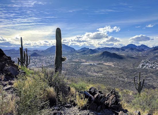 arizona/santa-catalina-mountains/attraction/tumamoc-hill-hiking-trail