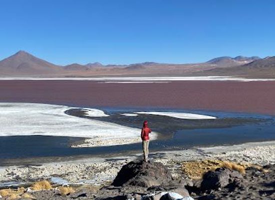 bolivia/potosi-highlands/attraction/sol-de-manana-tours
