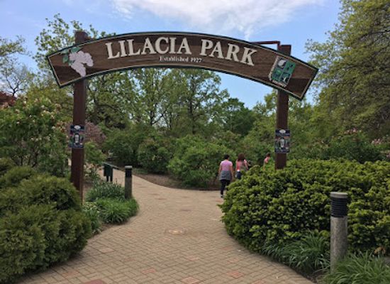 illinois/chicagoland/attraction/lilacia-park