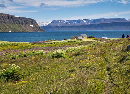 iceland/the-highlands/attraction/hornstrandir-nature-reserve
