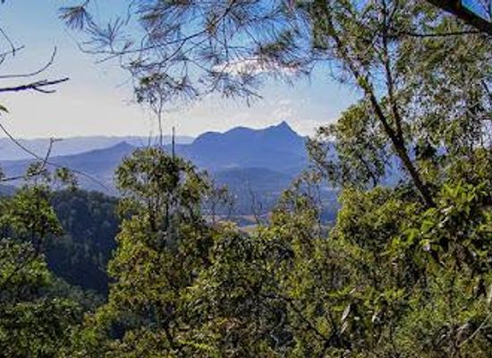 australia/byron-bay/attraction/nightcap-national-park