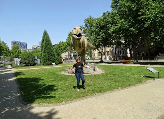 germany/frankfurt/westend/attraction/senckenberg-nature-museum