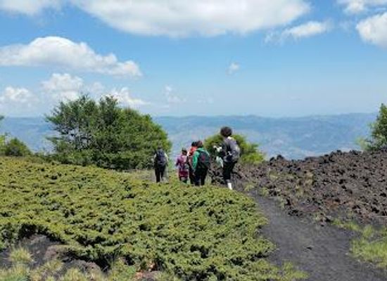italy/catania/attraction/north-etna-linguaglossa