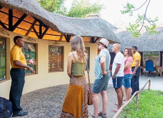 zambia/victoria-falls/attraction/intondolo-safaris