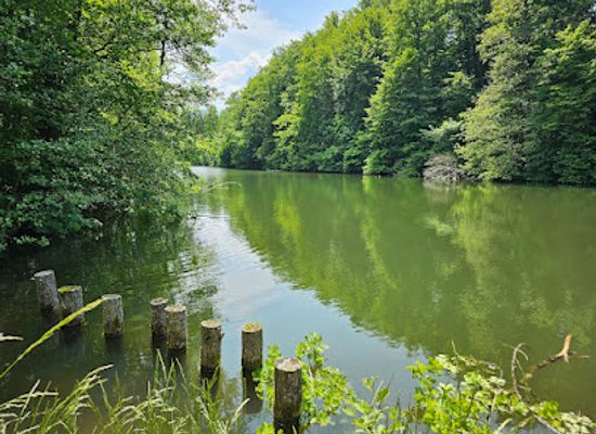 austria/carinthia/attraction/polsterteich