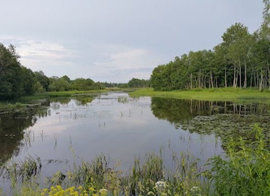 estonia/alutaguse/attraction/eesti-piiritusetoostuse-muuseum