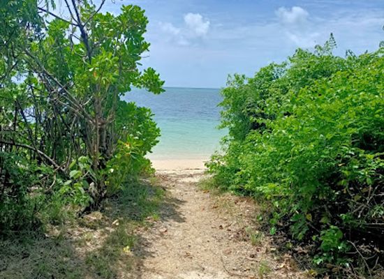australia/great-barrier-reef/attraction/green-island