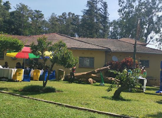 zambia/lusaka/attraction/majestic-gardens